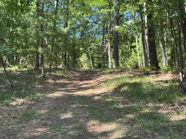 9440 W Oak Drive Caldwell Township, MI 49651