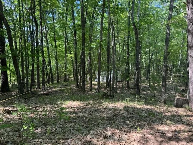 9440 W Oak Drive Caldwell Township, MI 49651