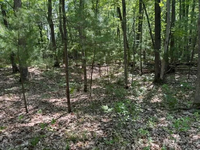 9440 W Oak Drive Caldwell Township, MI 49651