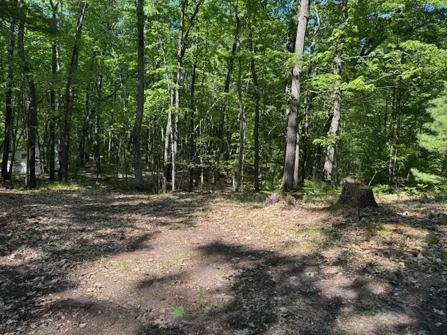 9440 W Oak Drive Caldwell Township, MI 49651