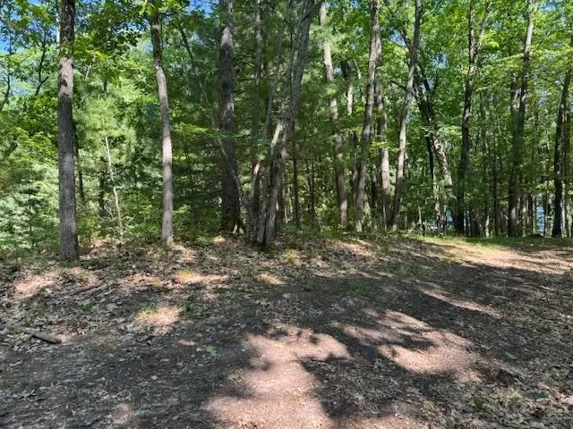 9440 W Oak Drive Caldwell Township, MI 49651
