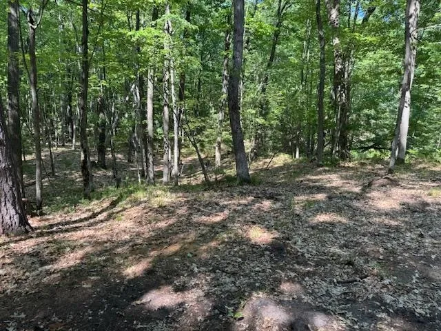 9440 W Oak Drive Caldwell Township, MI 49651