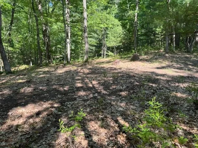 9440 W Oak Drive Caldwell Township, MI 49651