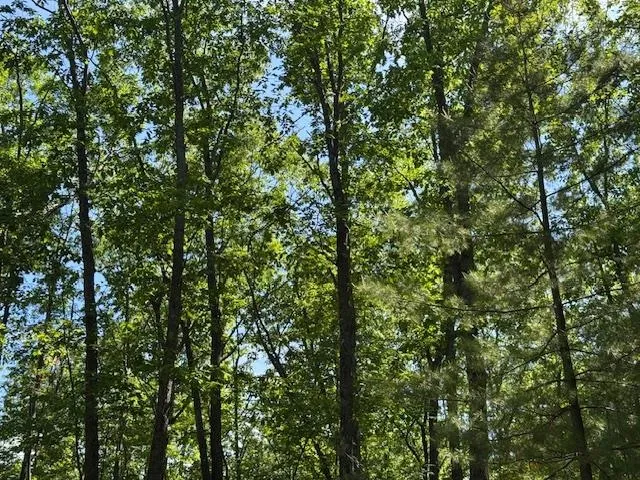 9440 W Oak Drive Caldwell Township, MI 49651