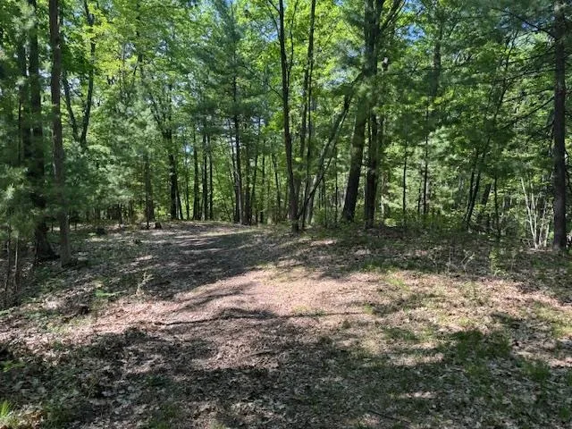 9440 W Oak Drive Caldwell Township, MI 49651