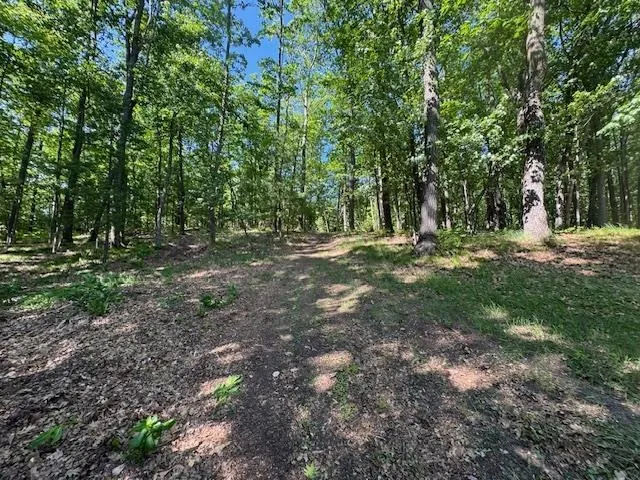 9440 W Oak Drive Caldwell Township, MI 49651