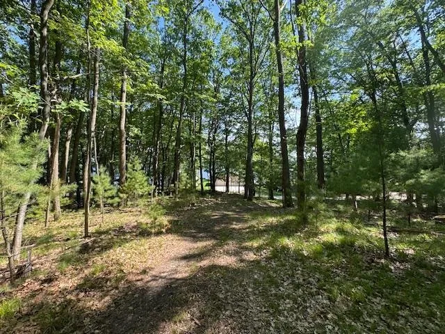 9440 W Oak Drive Caldwell Township, MI 49651