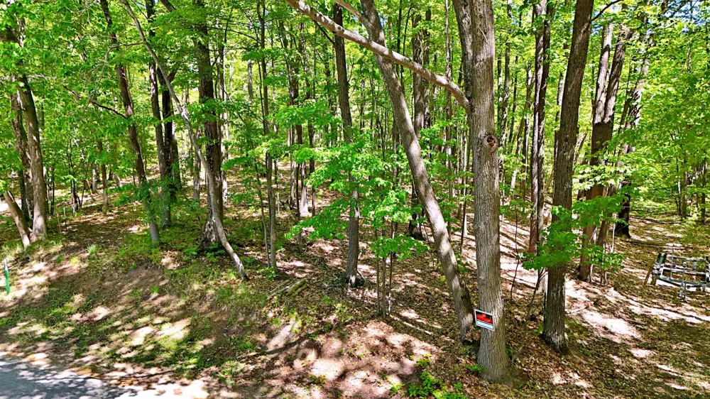 9440 W Oak Drive Caldwell Township, MI 49651