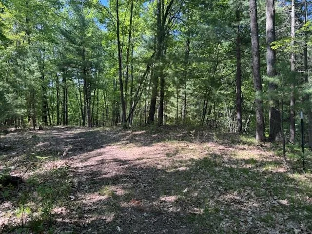 9440 W Oak Drive Caldwell Township, MI 49651