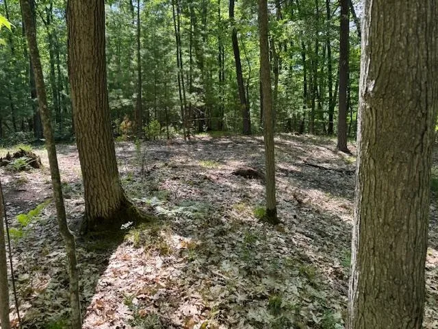 9440 W Oak Drive Caldwell Township, MI 49651