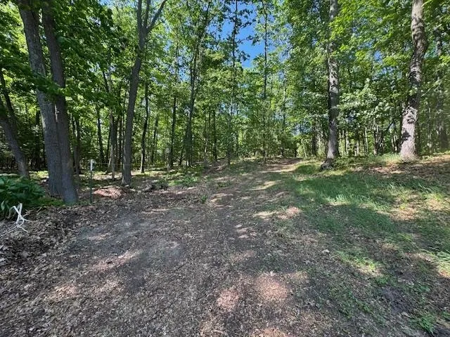 9440 W Oak Drive Caldwell Township, MI 49651