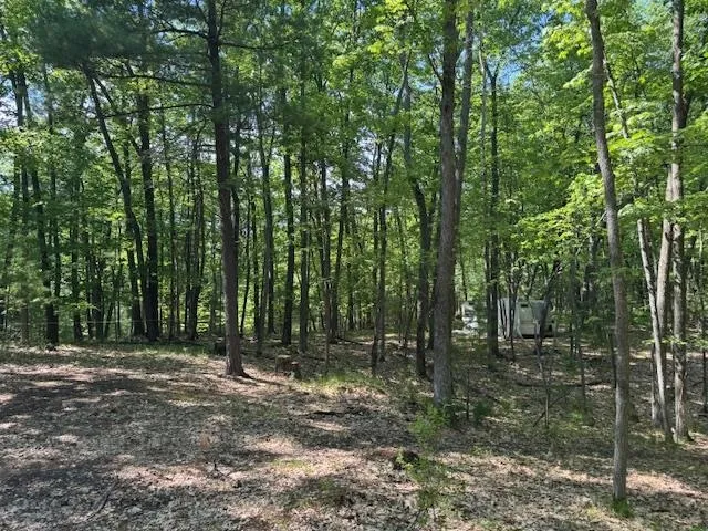 9440 W Oak Drive Caldwell Township, MI 49651