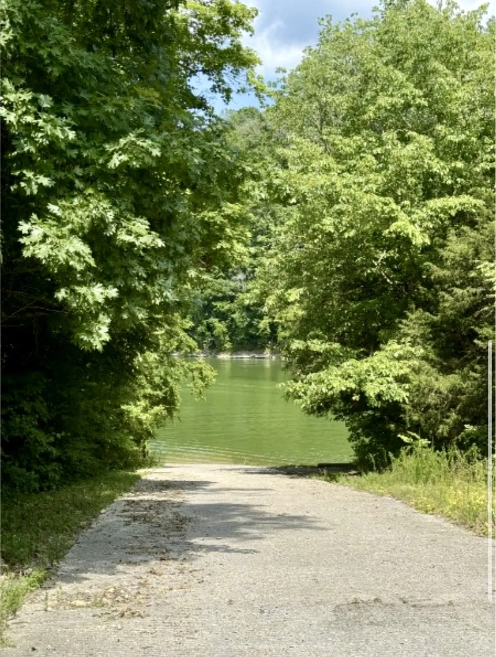0 Wildwood Dr Smithville, TN 37166