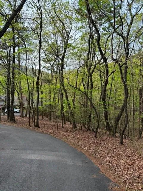 226 Crested Fern Lane