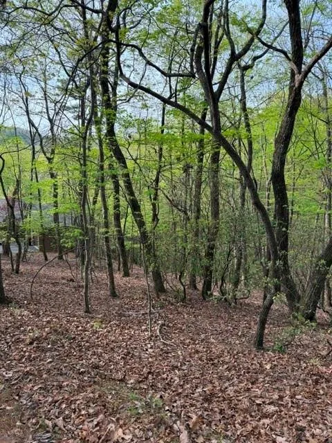 226 Crested Fern Lane Big Canoe, GA 30143