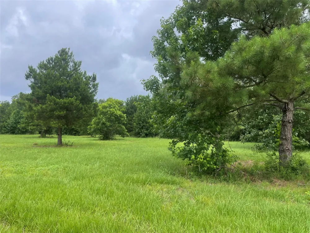 977 Tafelski New Waverly, TX 77358