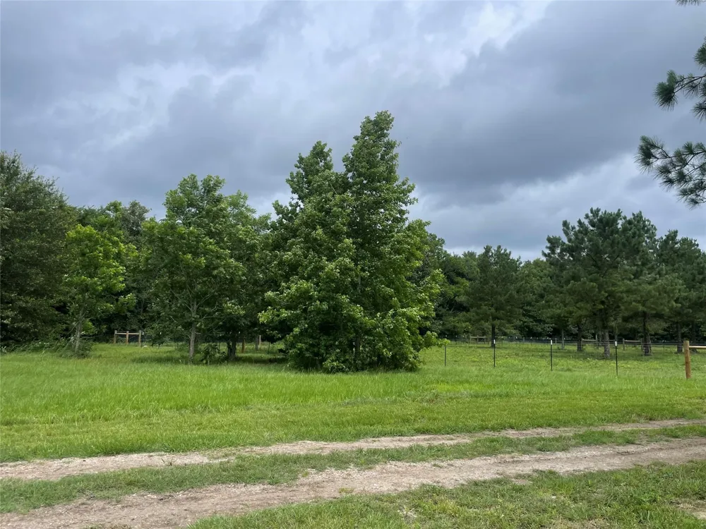 977 Tafelski New Waverly, TX 77358