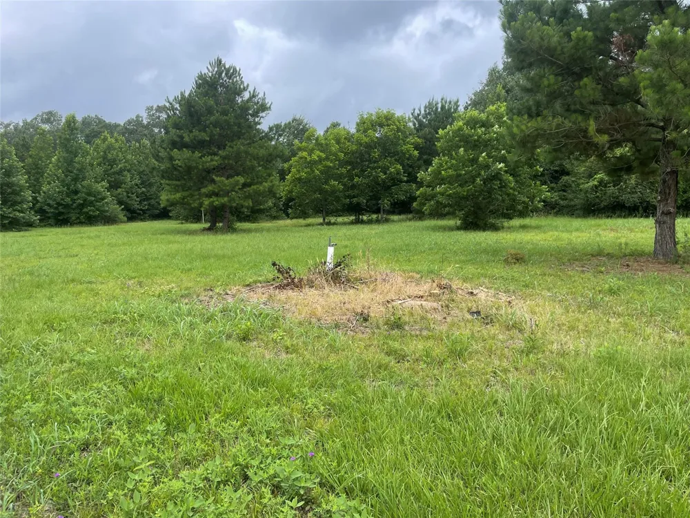 977 Tafelski New Waverly, TX 77358