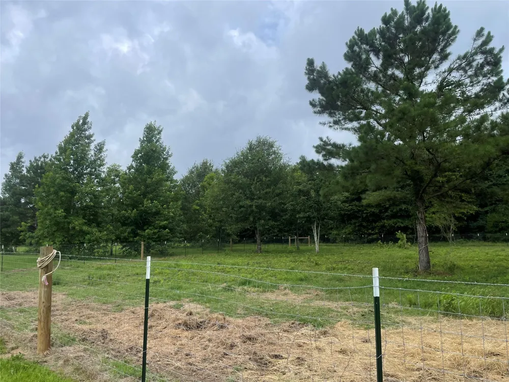 977 Tafelski New Waverly, TX 77358