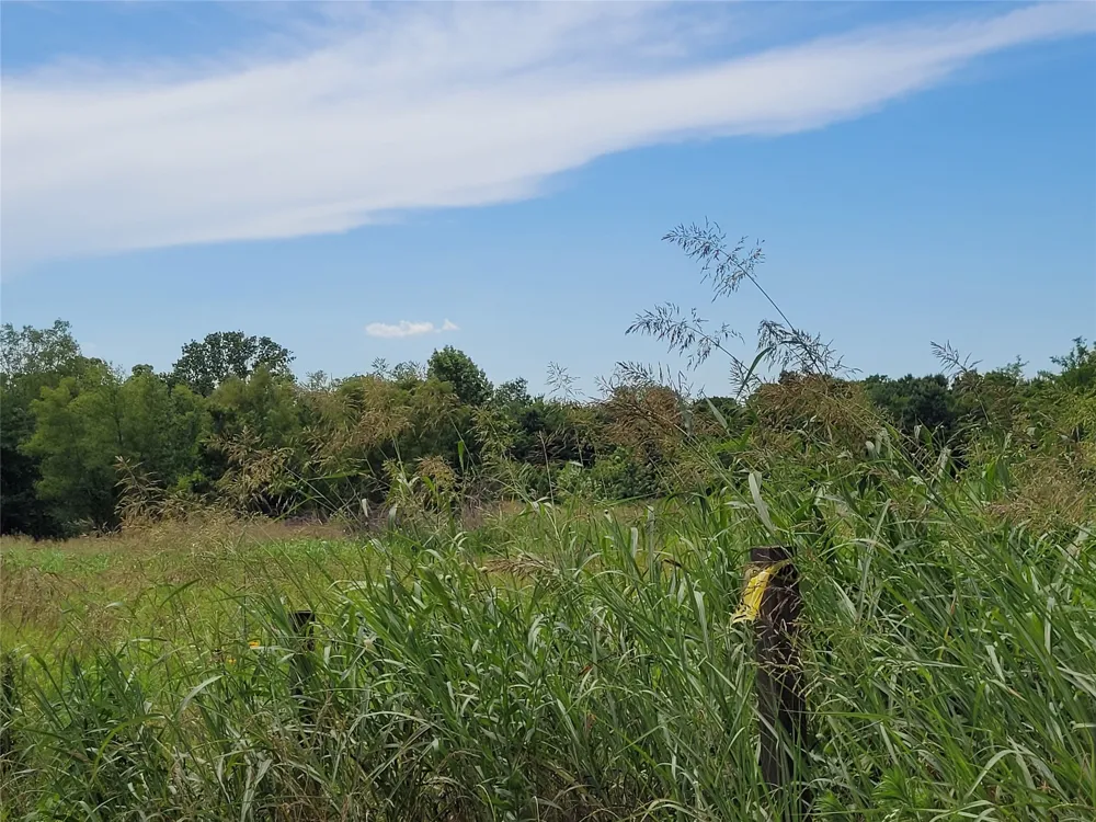 422 COUNTY ROAD 1345 Clarksville, TX 75426
