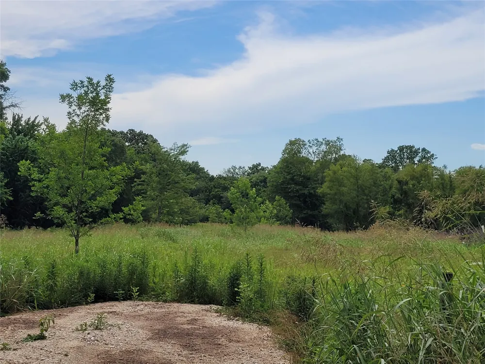 422 COUNTY ROAD 1345 Clarksville, TX 75426