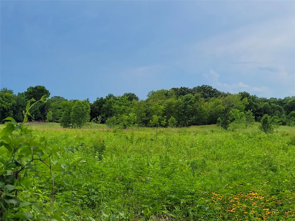 422 COUNTY ROAD 1345 Clarksville, TX 75426