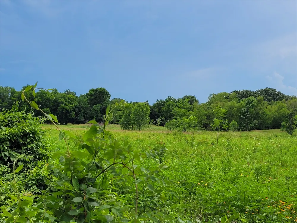422 COUNTY ROAD 1345 Clarksville, TX 75426
