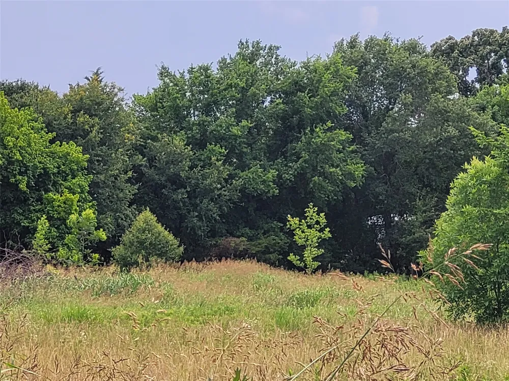 422 COUNTY ROAD 1345 Clarksville, TX 75426