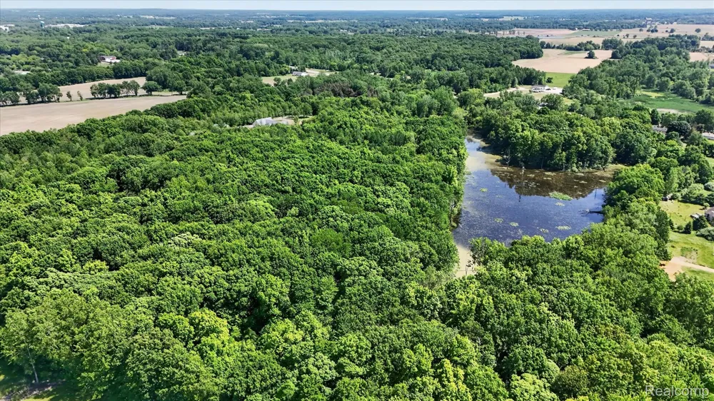 10500 W Grand River Road Handy Township, MI 48836