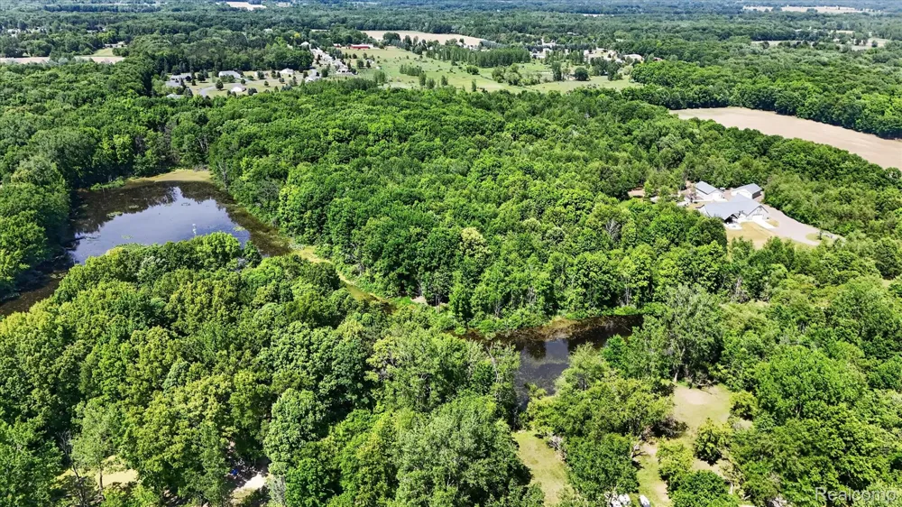 10500 W Grand River Road Handy Township, MI 48836