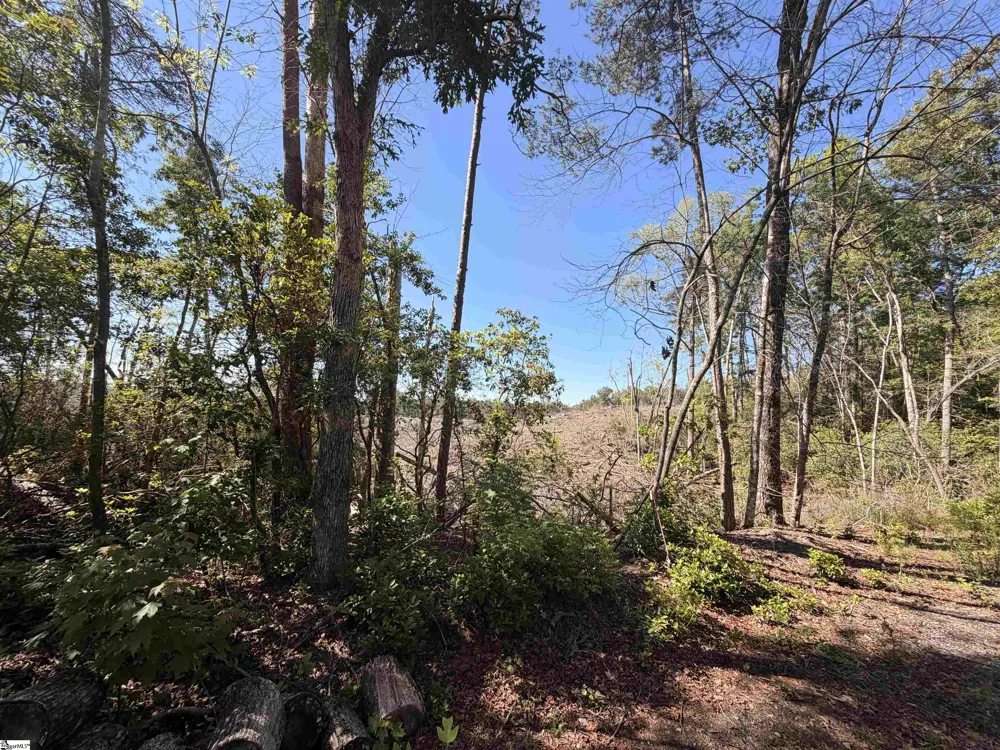 309 Knox Creek Road Tamassee, SC 29686