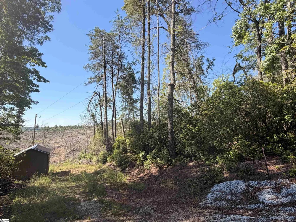 309 Knox Creek Road Tamassee, SC 29686
