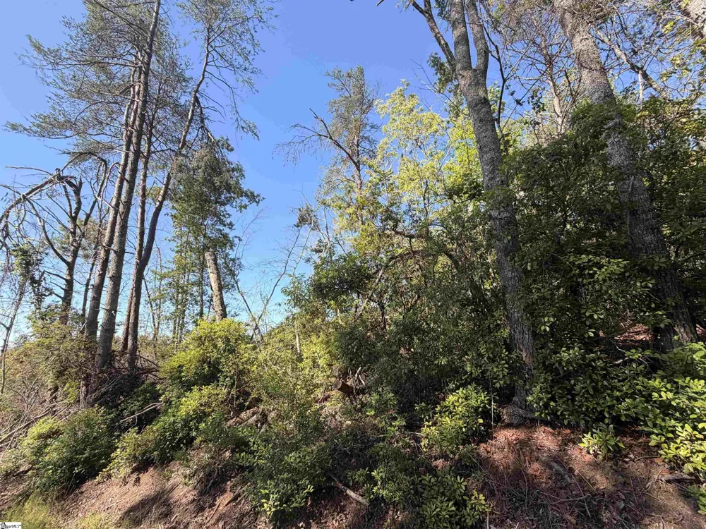 309 Knox Creek Road Tamassee, SC 29686