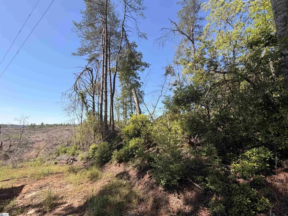 309 Knox Creek Road Tamassee, SC 29686