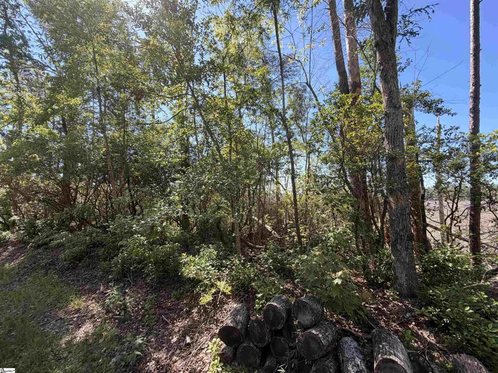 309 Knox Creek Road Tamassee, SC 29686