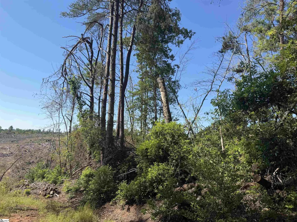 309 Knox Creek Road Tamassee, SC 29686