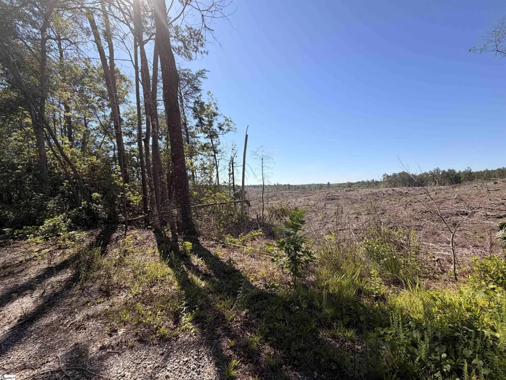 309 Knox Creek Road Tamassee, SC 29686