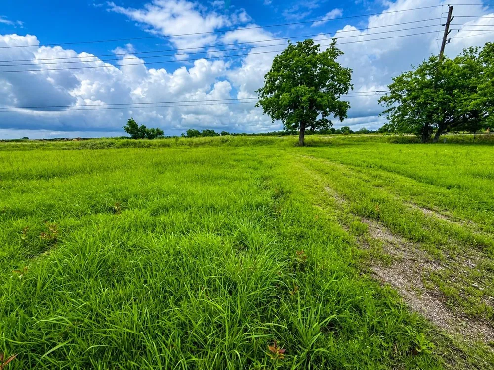 14914 Highway 36 Needville, TX 77461