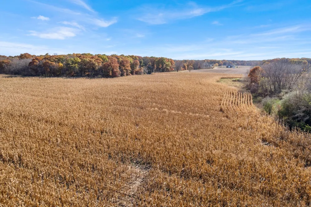 71xxx 165th Avenue SE Becker, MN 55308