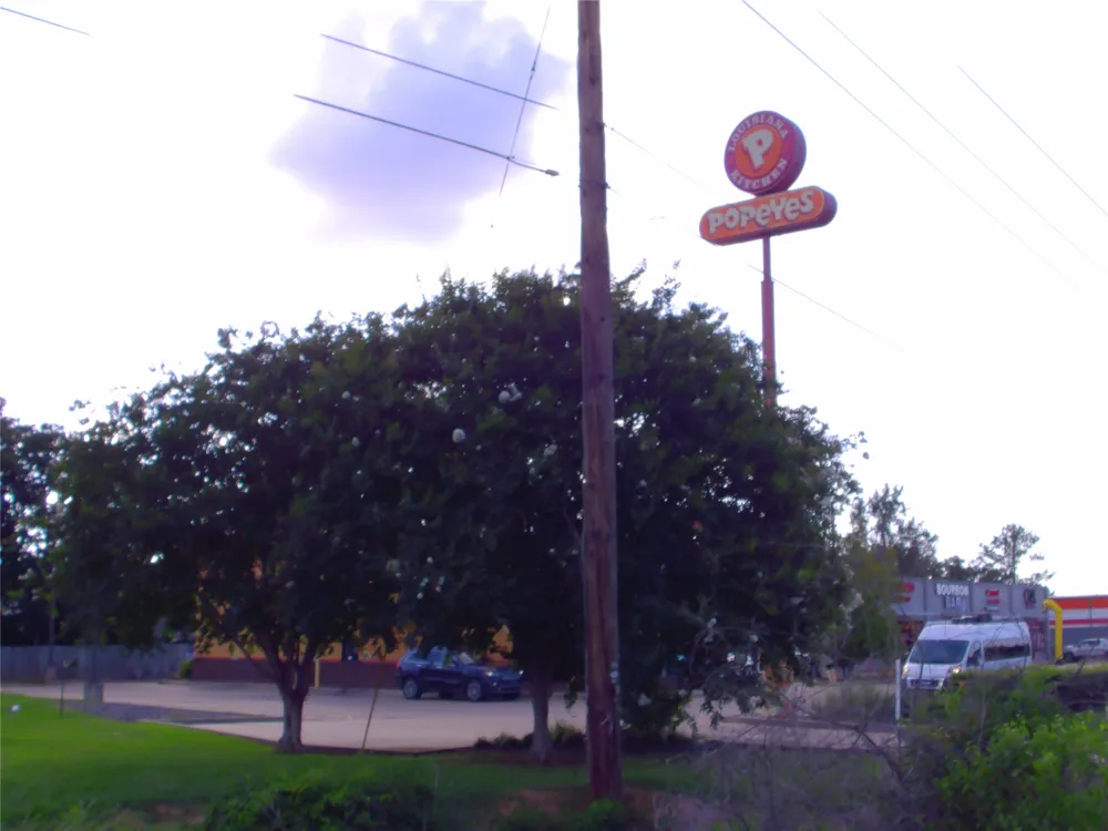 8660 Youree Drive Shreveport, LA 71115