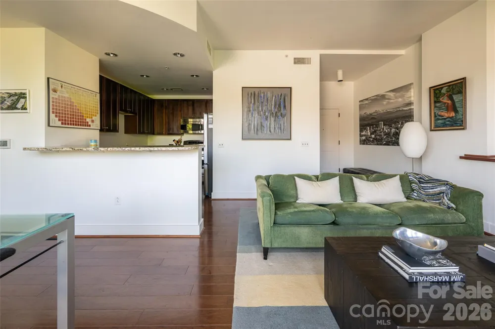 60 unit #302 Market Street Asheville, NC 28801