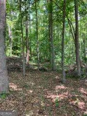 0 Poplar PL Wedowee, AL 36278