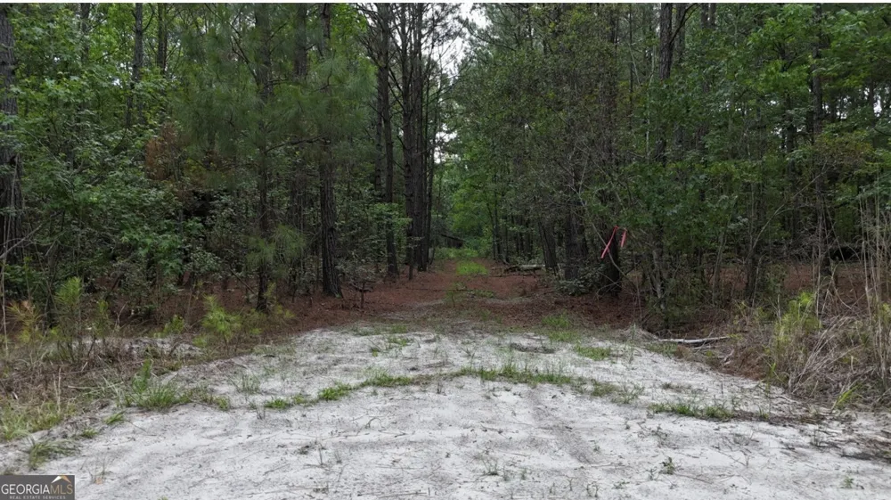 0 Duck Pond RD Sylvania, GA 30467