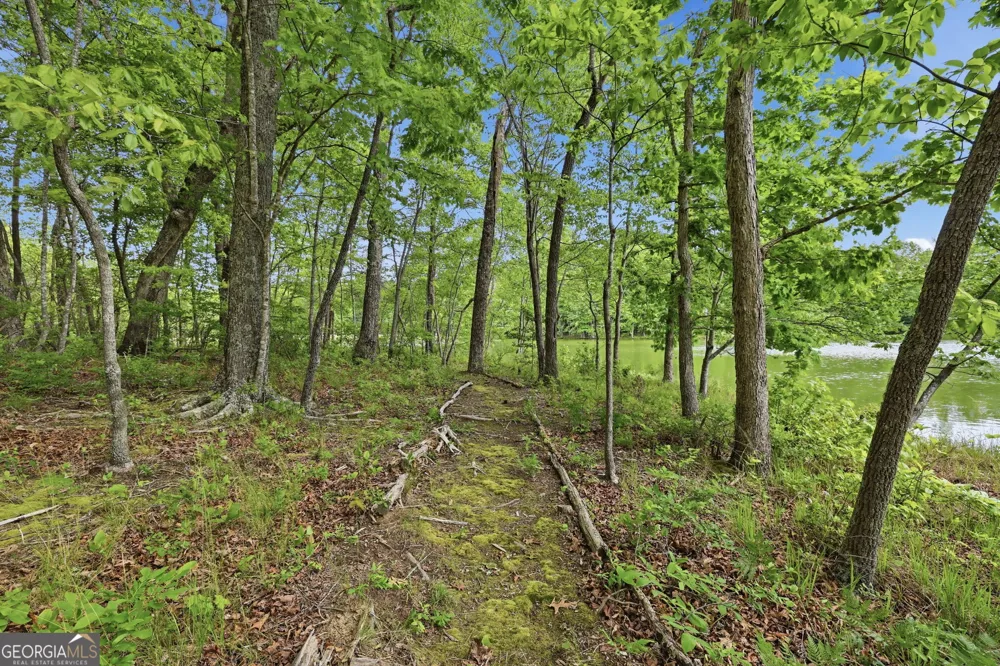 479 Lake Loop RD Menlo, GA 30731