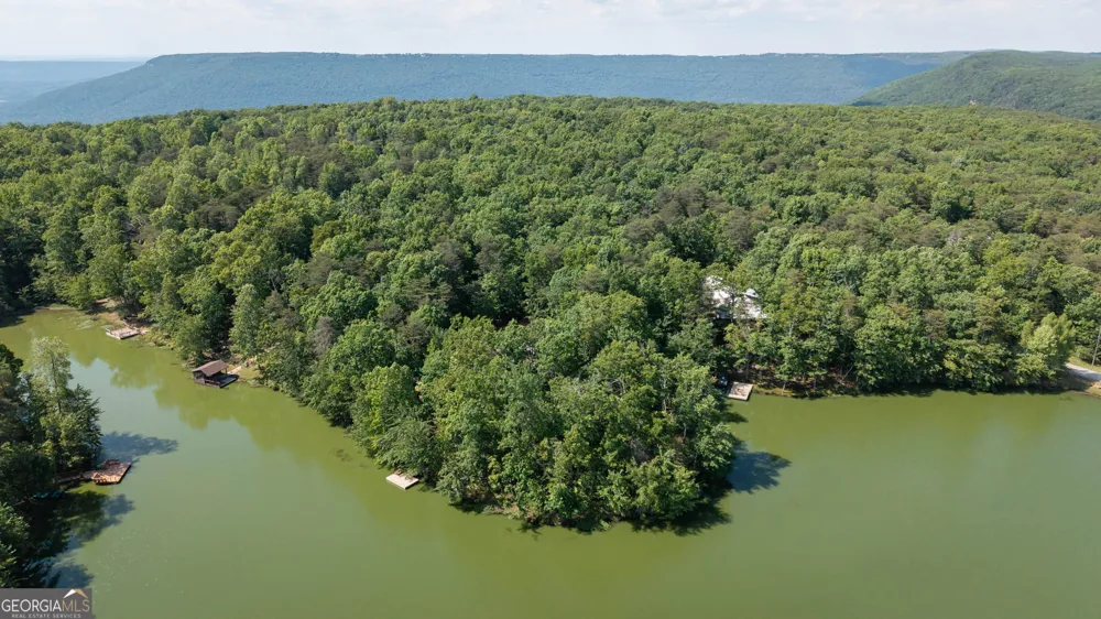 479 Lake Loop RD Menlo, GA 30731