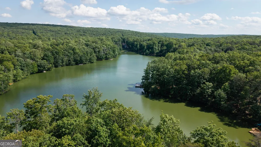 479 Lake Loop RD Menlo, GA 30731