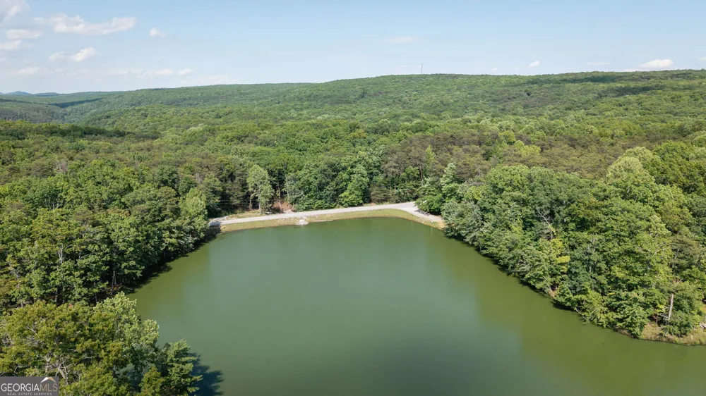 479 Lake Loop RD Menlo, GA 30731