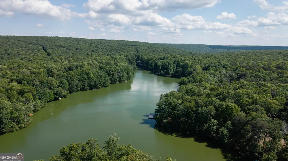 479 Lake Loop RD Menlo, GA 30731