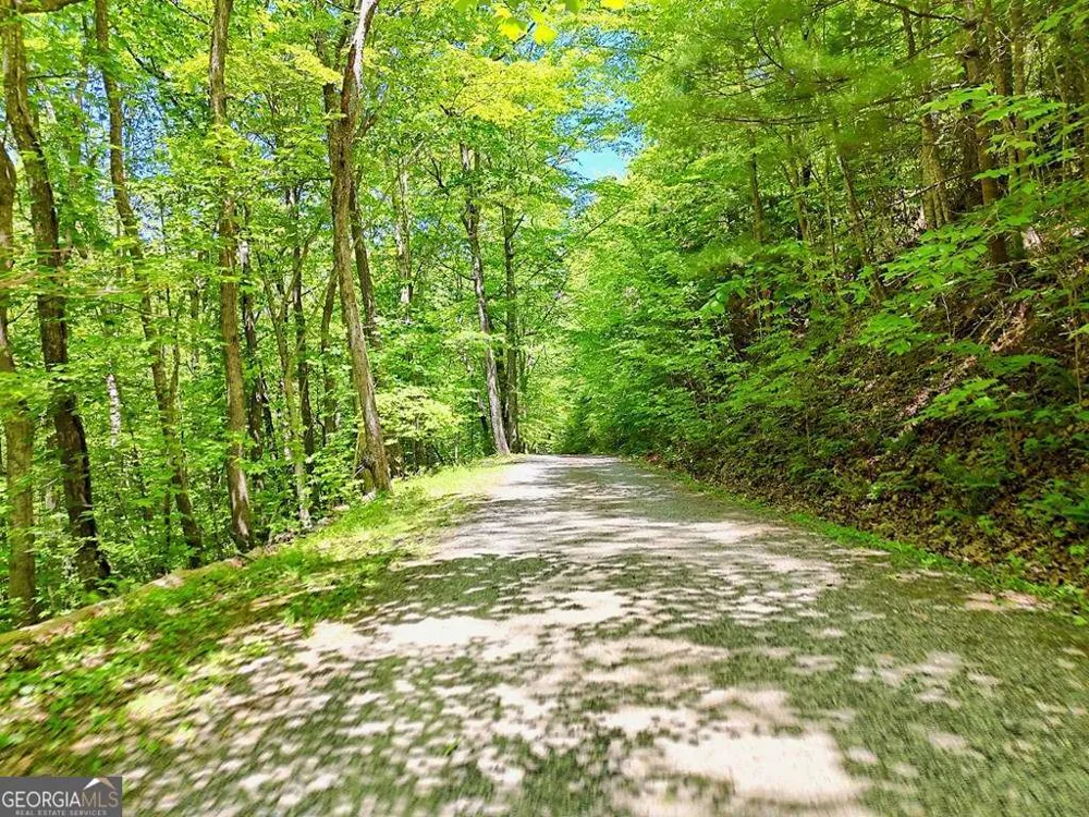 1127 Burch Branch RD Hiawassee, GA 30546