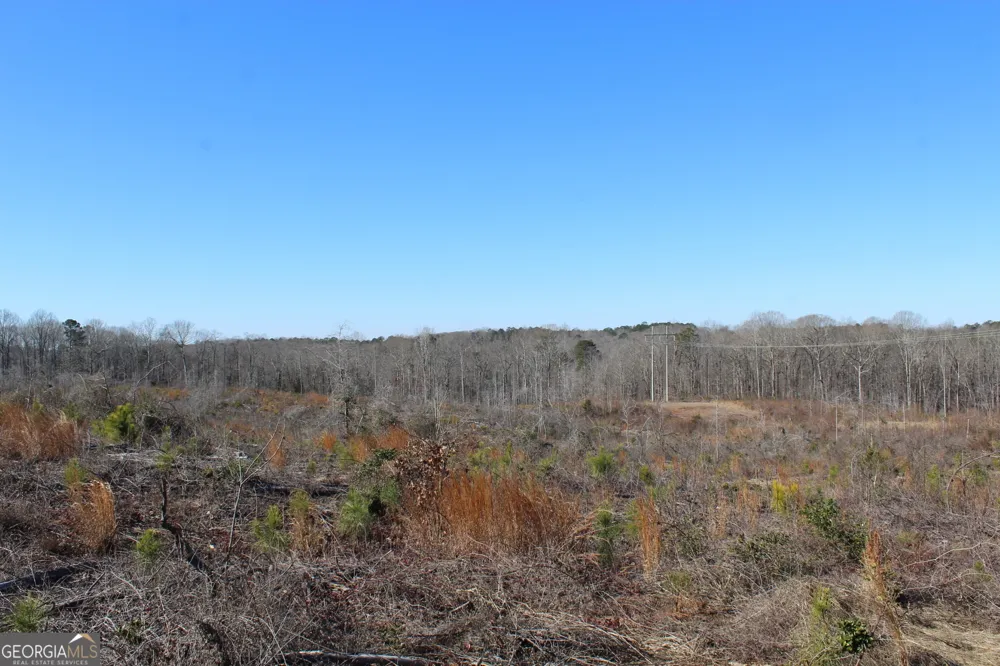 57+/- AC Victory RD Franklin, GA 30217